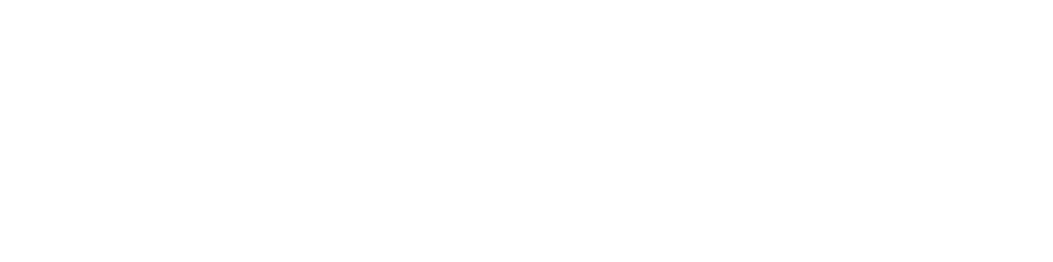 The Health Concept